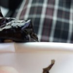 [EXO] 야 이거 <b>한반도</b> 모양같지 않냐?