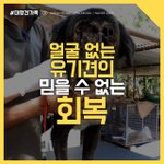 [감동스토리] 얼굴없는 유기견, 그 후...