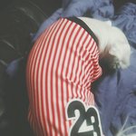 [EXO] ㅅㄷ 우리 강아지 옷 사줬는데 ㅈㄴ귀여워ㅠㅠㅠㅠ