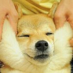 <b>하드</b>케이스 그거