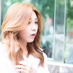 [에이핑크] 은지솔로에대한 안티들의 발악