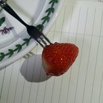 딸기 먹는데존나블랙<b>헤드</b>같이생김
