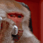 [방탄소년단] <b>Umm</b>.....