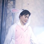 [EXO] 면토끼와 <b>펭수</b>..