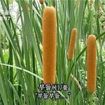 짝남이랑 친해질계기추천좀!!