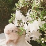 [<b>B1A4</b>] 율무화보 보고가세요