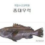 [EXO] 진심 <b>추억</b>팔이 핵<b>추억</b>짤 가져옴
