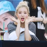 [에이핑크] <b>내</b> <b>인생</b> 얘한테 조공