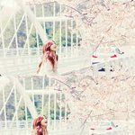 [에이핑크] 믕지<b>순위</b>내려갔어도