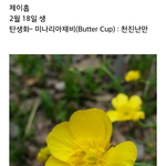 [방탄소년단] <b>호석</b>이 탄생화 ㅋㅋㅋㅋㅋㅋㅋ