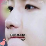 [EXO] 백현이 최애들 진짜 어이없네 시바 ㅋㅌㅌㅌㅋㅌㅌ