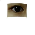 쌍커풀 <b>유무</b> 평가좀