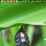 [방탄소년단] 아 어떤 이삐 <b>글</b> 보면서