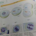 [댓글부탁해] ㅅㅂ2가<b>염색체</b>가먼데조깐네
