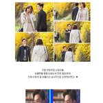 유이,이서진 꽃놀이 데이트도 실제 같은 <b>케미</b>