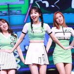 상큼한 <b>치어</b>리더 토끼