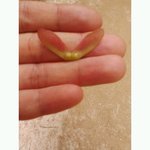 [드루와] 와 대박.. 털 없는.jpg