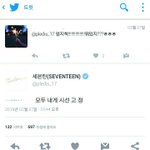 [세븐틴] 시간을거슬러가다가