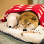 뭘바 시바 시바 <b>첨보</b>냐 시바 ㅡㅡ