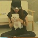 [강아지] 제 강아지 <b>큐리</b>입니다