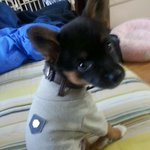 이 아이의 <b>정체</b>를 알려주십쇼