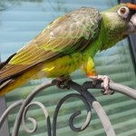 <b>개새</b>모모를 찾앗습니다