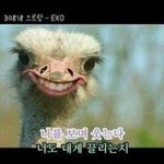 [EXO] 야 함수의 어멈이 라별에서 카재<b>보석</b> 연애 이야기한거 봤냐