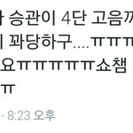 [세븐틴] 오늘상황정리