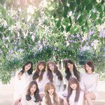 [댓글부탁해] 러블리즈 진짜 개불쌍해ㅠㅠㅠ...