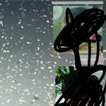 [EXO] 이사진 <b>배사</b>좀ㅠ