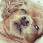 아래 뜨는 게<b>이만화</b>사이트 실수로 들어갔는데ㅠㅠㅠ
