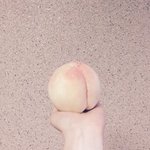 [드루와] 지가 지보고 <b>설리</b> 닮았다고 하는년 있음..