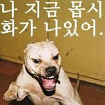[혼자하는말] <b>욕</b>하는 남자친구랑 헤어진 썰