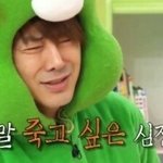 하늘이 파래서 <b>햇살</b>이 빛나서..