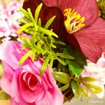 <b>cu</b>에 귀마개 팔아?