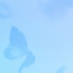 [방탄소년단] <b>전</b>에 공백기 스밍목록 만들었는데