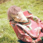 [방탄소년단] 난 핑크슙이 그렇게 좋드라,,,