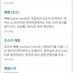 [세븐틴] 우리가 캐럿인 건 어찌보면 <b>운명</b>인 것이다..