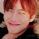 [방탄소년단] 보고있냐 빕ㅂ프리 새꺄