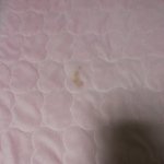 [EXO] ㅅㅂ침대에서 빠1삐코먹다가 흘렸는데<b>생리</b>같이됨