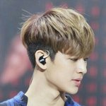 [아이콘] <b>한국활동</b>