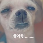[댓글부탁해] 헤헿 <b>스누피</b> 커피우유 샀당 ㅎㅎㅎ