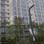 <b>냠냠</b> 먹으러옴 혼자 ㅠ..