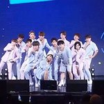 [세븐틴] 캐럿들아