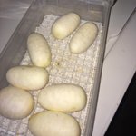 사랑스러운 <b>뱀</b>의 알, 생명의 신비