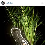 [사진있음] 지디가 트와이스 사나 <b>샤샤샤</b> 언급함 ㅋㅋㅋ