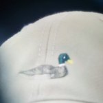 [EXO] 청둥오리~