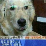 나 국어<b>시험지</b> 받자마자 그냥 잘뻔함..