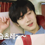 [NCT] 암만생각해도 엔씨티라이프는 <b>치타</b>폰입덕방송이다