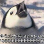 [댓글부탁해] 나 <b>스누피</b> 먹고있는데 대박ㄱ
